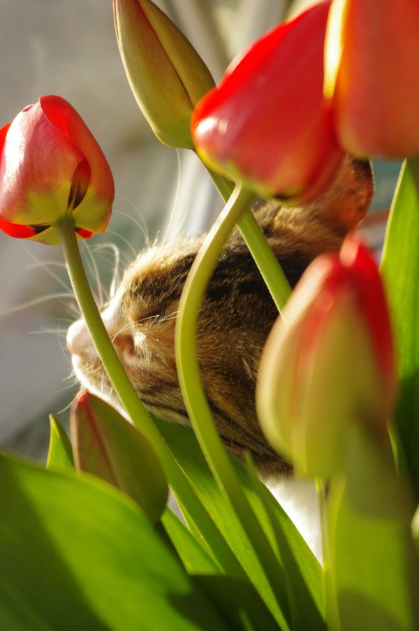 To-do: smell that flower. Then eat it