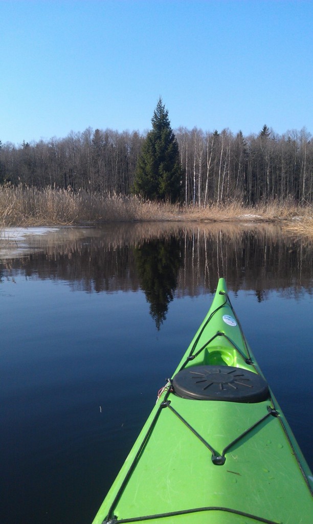 My kayak for the day. Green as a Christmas tree ahead of me.