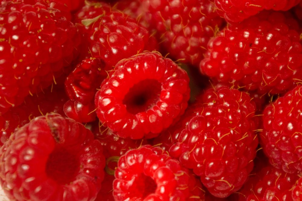 Last of the season: raspberries